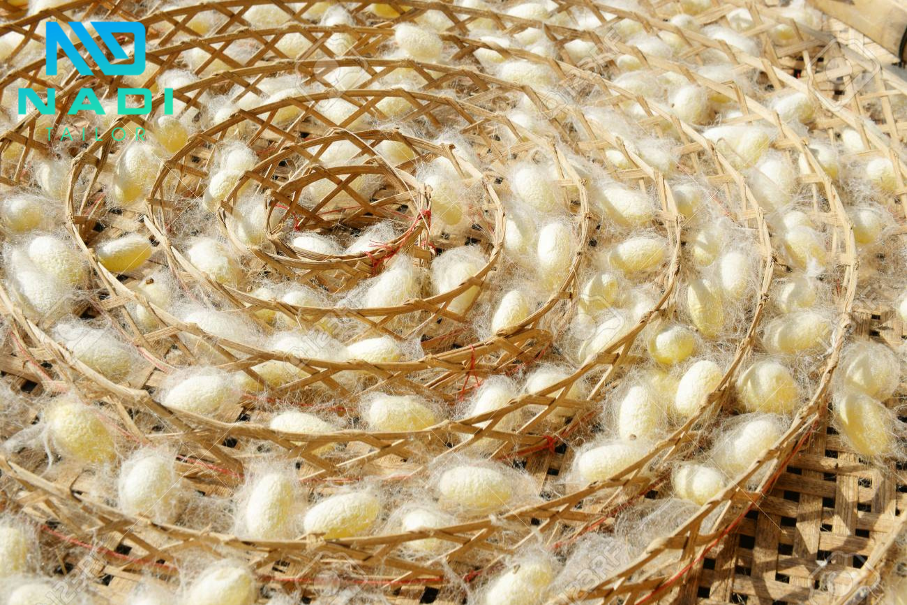 Tằm nhả tơ kết kén Tằm nhả tơ kết kén