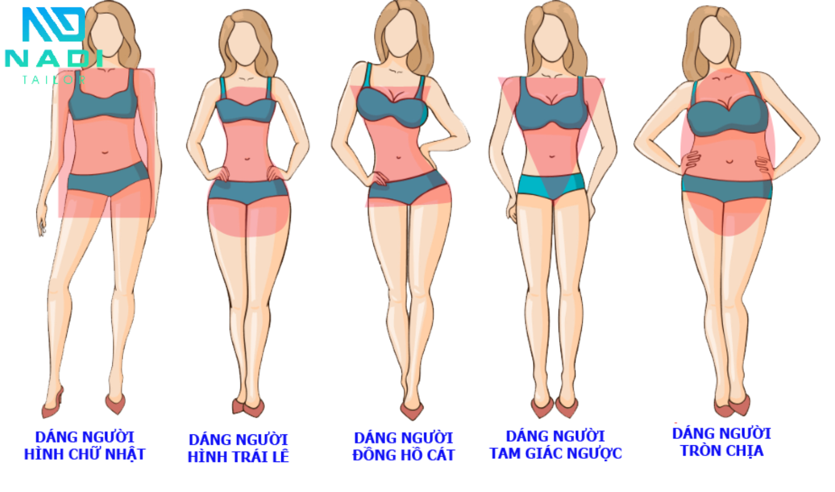 Vóc dáng phụ nữ mà bạn cần biết Vóc dáng phụ nữ mà bạn cần biết