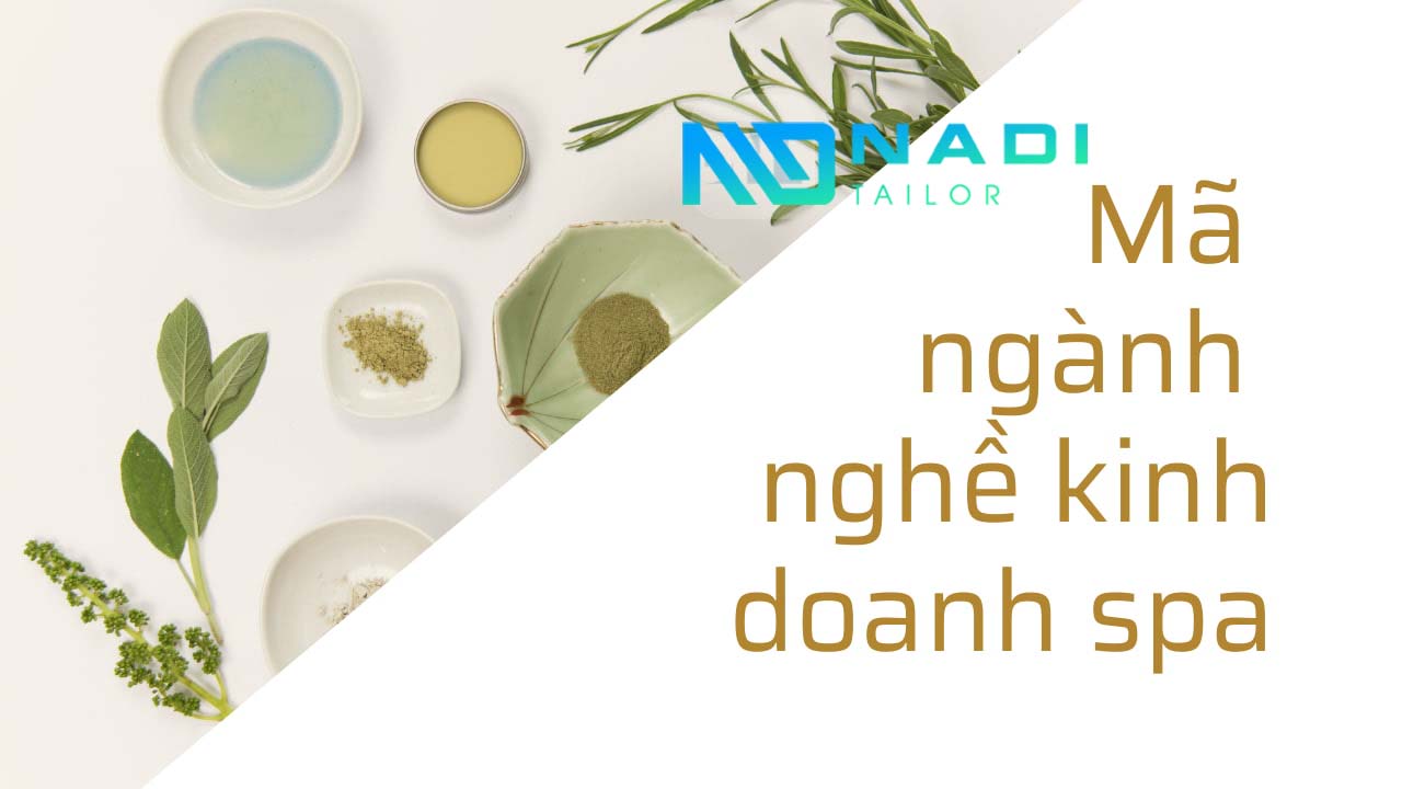 Giấy Phép Kinh Doanh Spa Thế nào là ngành nghề đăng ký kinh doanh Spa, Chăm sóc sắc đẹp